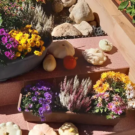 V Sukromi 홈스테이 *